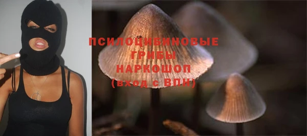 кристаллы Белокуриха