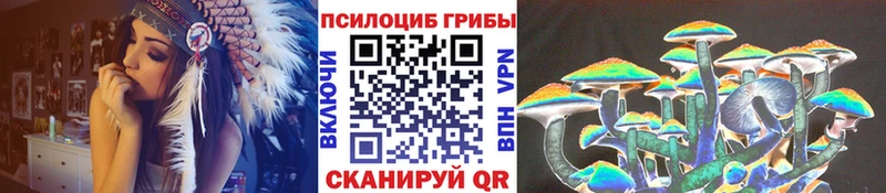Псилоцибиновые грибы GOLDEN TEACHER Маркс